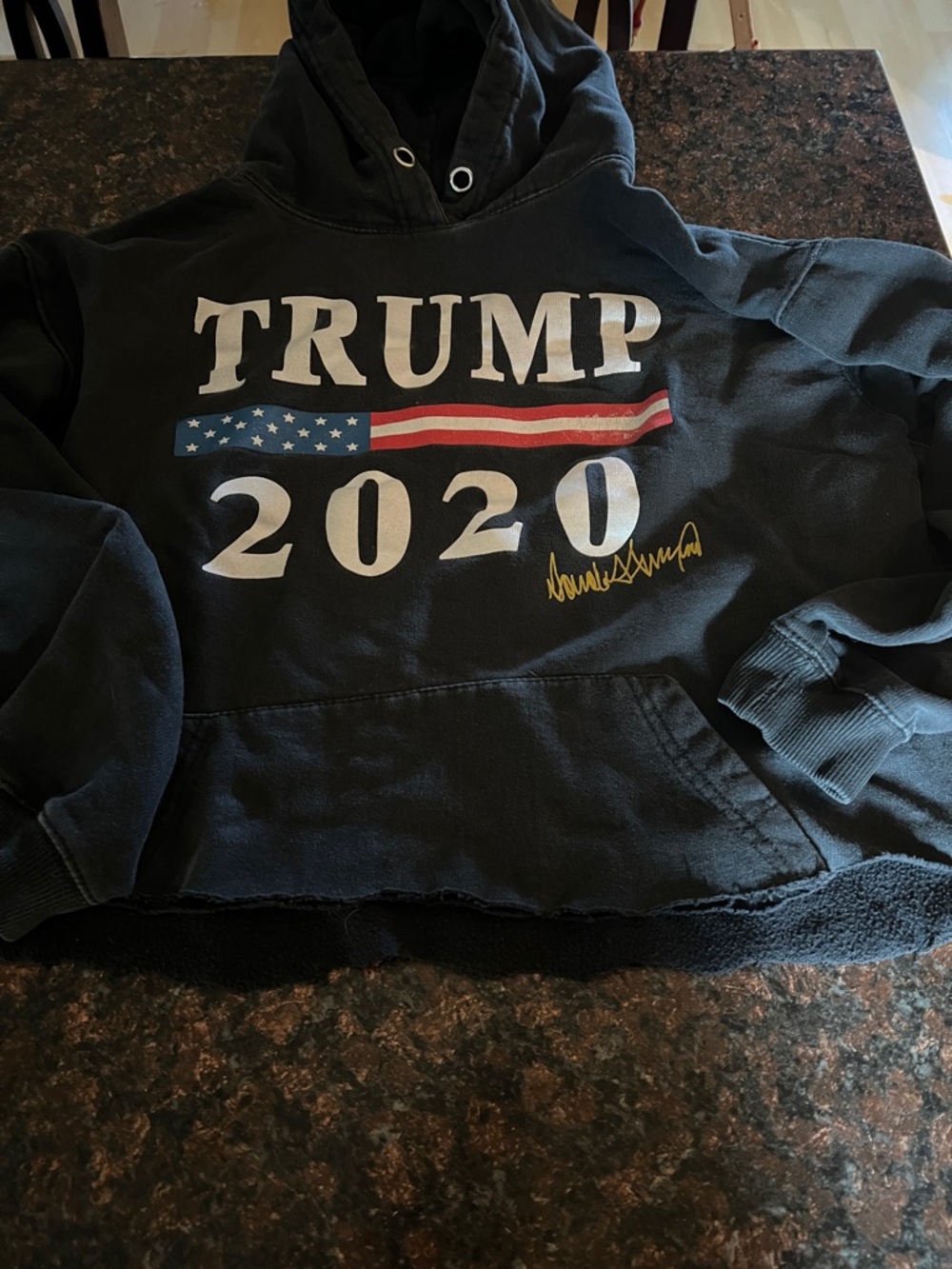 Trump 2020 Graphic Hoodie in Black with Patriotic Accents - Picture 2 of 3